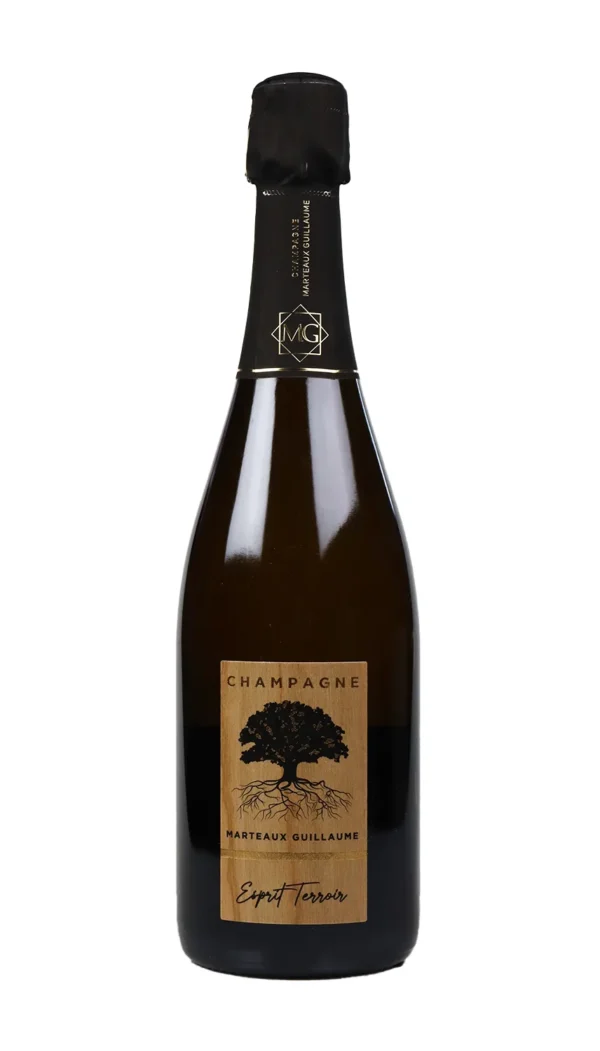 Marteaux Guillaume, Infusion Rosé Brut 2016